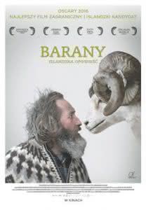 Plakat filmu "Barany. Islandzka opowieść"