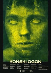 Plakat filmu "Koński ogon"